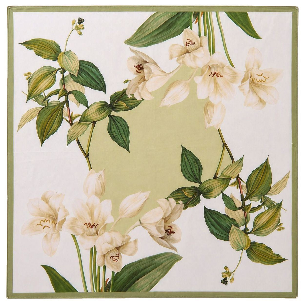 Lys Botanica