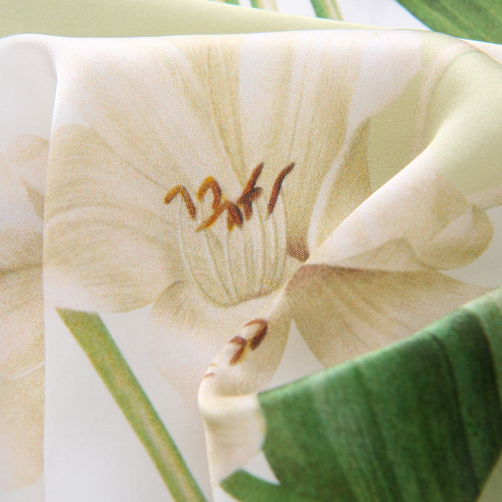 Lys Botanica
